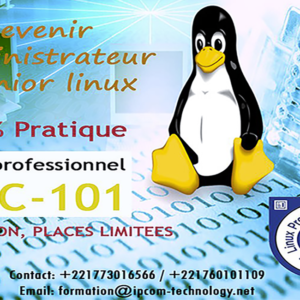 Formation Linux LPIC-101